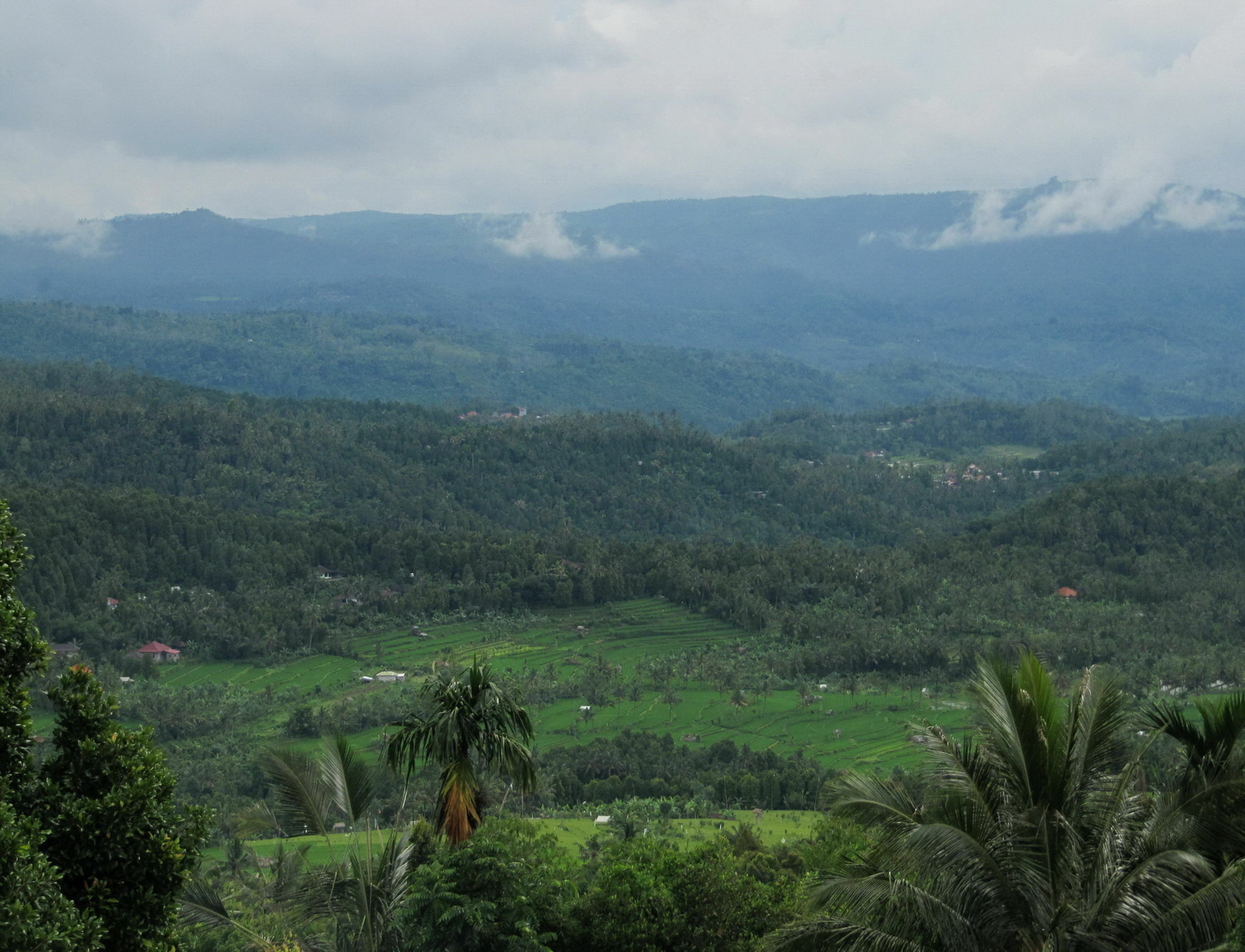 KARANG SARI Guesthouse Munduk Eksteriør billede