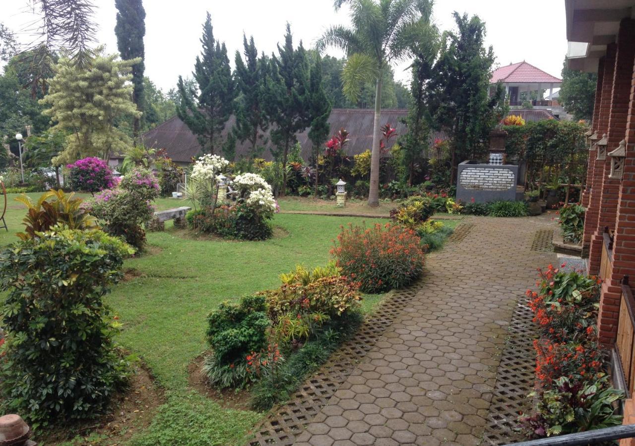 KARANG SARI Guesthouse Munduk Eksteriør billede